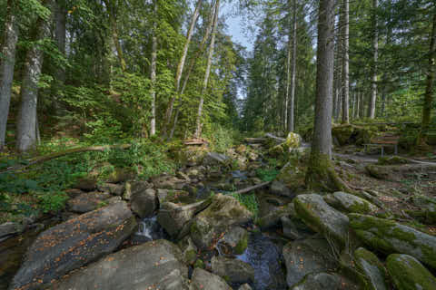 Gemeinde Waldkirchen Landkreis Freyung-Grafenau Saußbachklamm (Dirschl Johann) Deutschland FRG